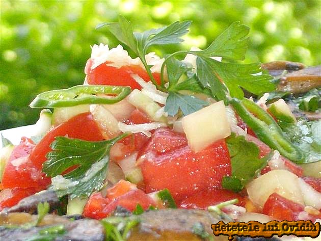 salata salsa