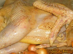 cocos in vin. coq au vin