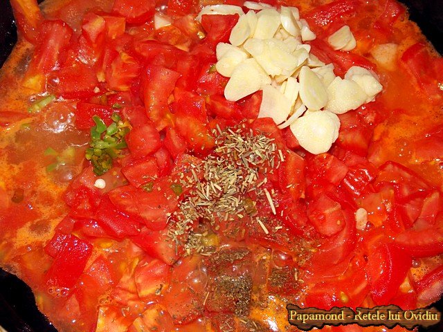 musaca de legume cu sos de rosii - www.papamond.ro (3)