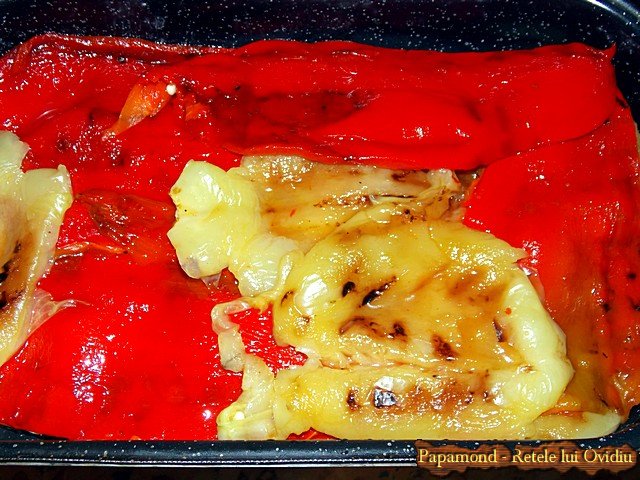 musaca de legume cu sos de rosii - www.papamond.ro (5)