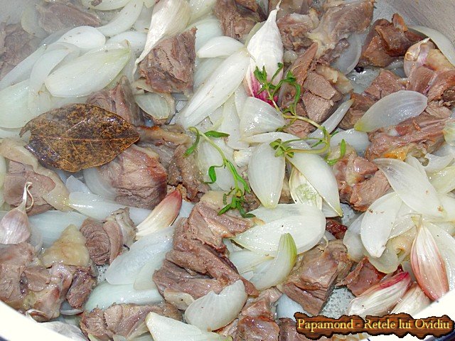 tocanita taraneasca de curcan cu sos pe saturate - Papamond.ro (1)