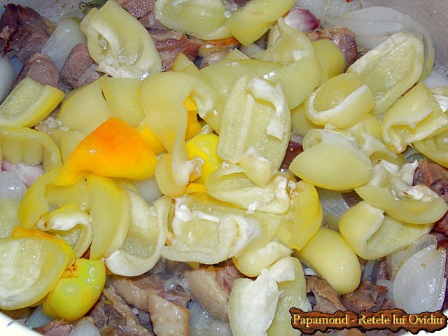 tocanita taraneasca de curcan cu sos pe saturate - Papamond.ro (2)