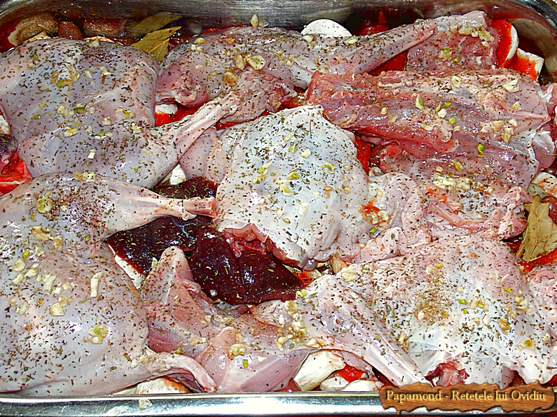 Bucatile de carne de iepure le asezam pe patul de ciuperci