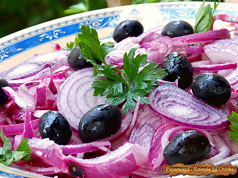 Salata de ceapa rosie (6)